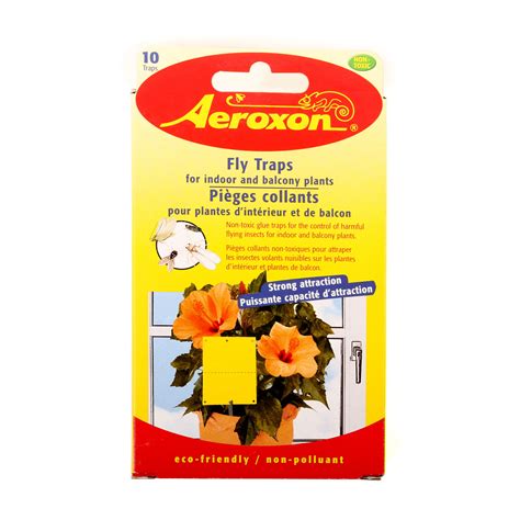 Fly Traps for Indoor and Balcony Plants - Aerokure