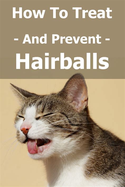 How To Treat – And Prevent – Hairballs In Cats – TheCatSite Articles