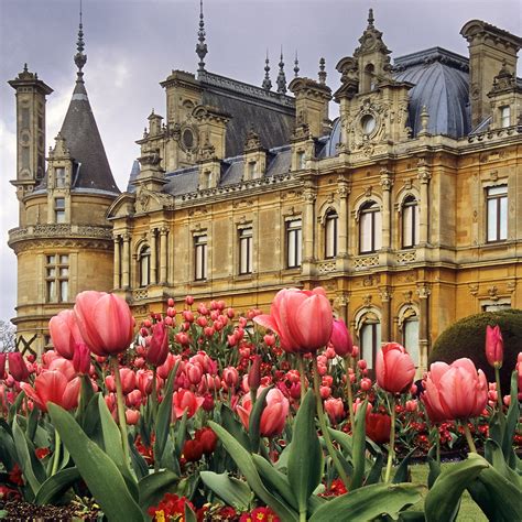 Waddesdon Manor Gardens, Buckinghamshire, England | Immacu… | Flickr