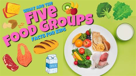 The 5 Food Groups - Educational Facts for Kids - YouTube