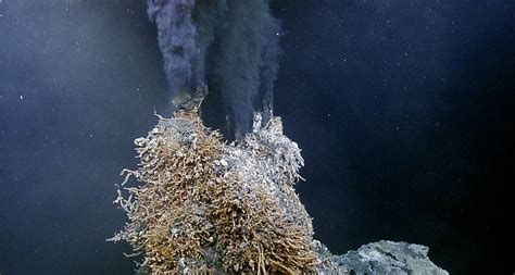 Deep-sea hydrothermal vents more abundant than thought