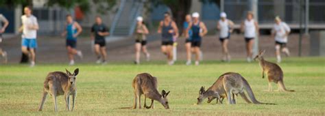 Central Queensland University World University Rankings | THE