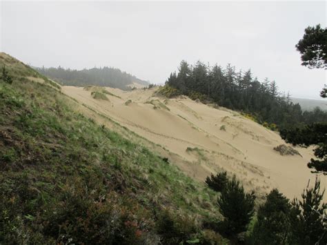 Oregon Dunes Overlook Day Use Area - Oregon Coast