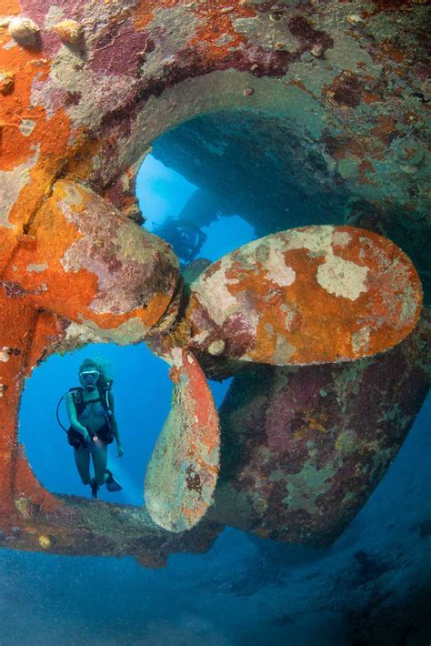 An Insider's Guide to Diving Yap, Micronesia