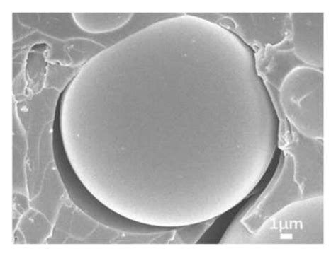 (a) SEM photograph of a single glass microsphere in HGM/phenolic ...