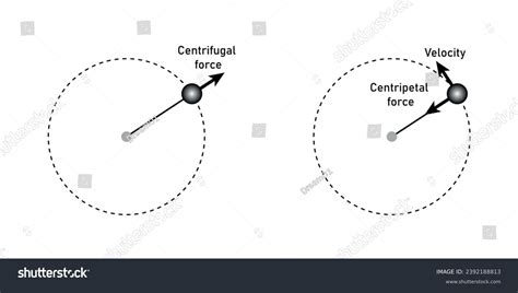 Centripetal Force Centrifugal Force Diagram Scientific Stock Vector (Royalty Free) 2392188813 ...