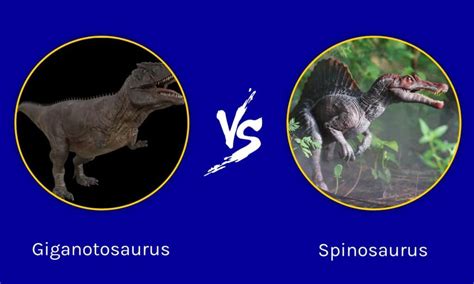 Giganotosaurus vs Spinosaurus: Who Would Win in a Fight? (2023)