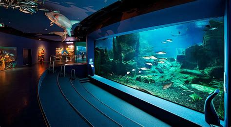 Istanbul Sea Life Aquarium Tickets & Tours 2023 | Book TicketsToDo Online