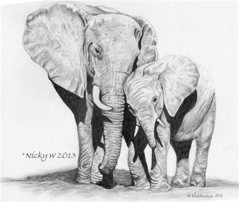 Kerala Elephant Pencil Drawing - pencildrawing2019