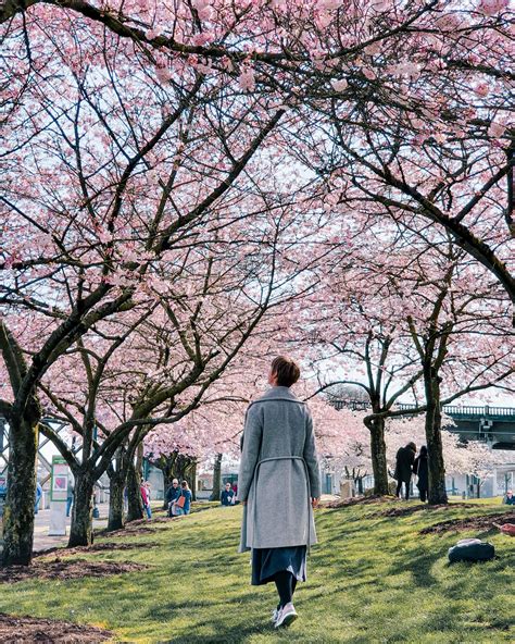 A local's guide to flower fields & festivals in Oregon