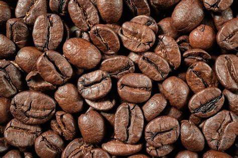 Robusta Espresso Beans: Info, Flavors & Photos - Tasty Made Simple