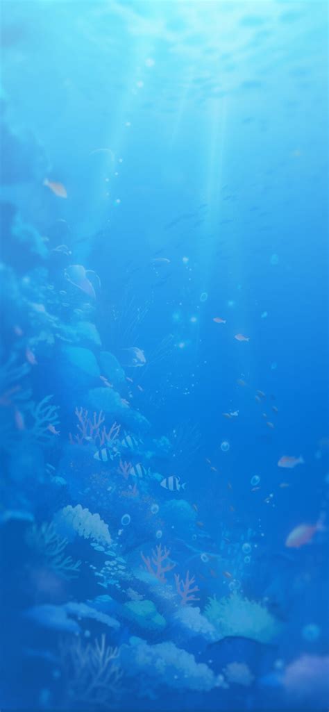 Underwater Corals & Fishes Wallpaper - Underwater Wallpapers 4k