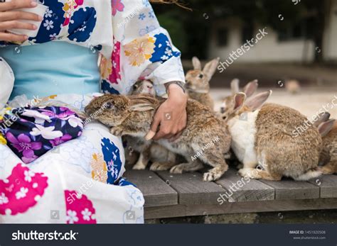 2,167 Rabbit Island Japan Images, Stock Photos & Vectors | Shutterstock