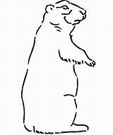 Drawing prairie dog coloring Page  Clip Art Library sketch template