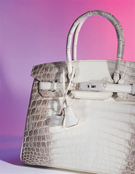 Hermes Birkin 30 Himalayan Himalaya Crocodile Handbag MAISON De LUXE ...