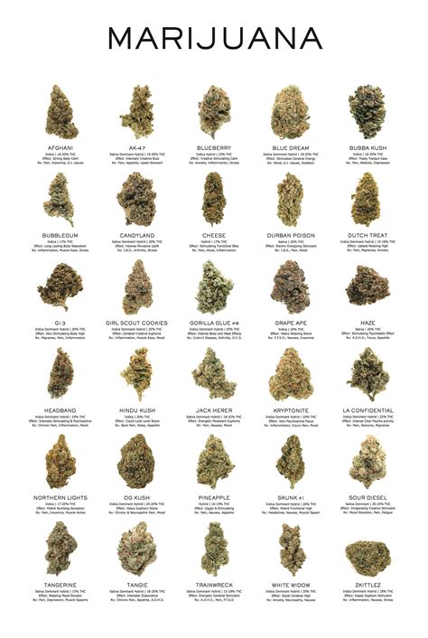 Different Types Of Weed Names