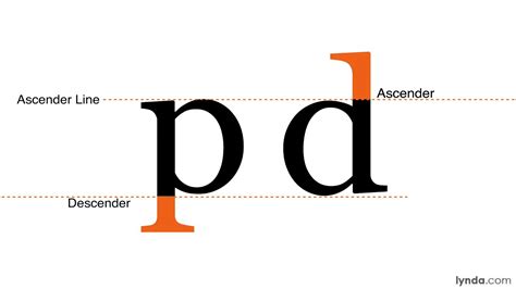 Typography Tutorial - X-height, ascenders, descenders, serifs, and MORE ...