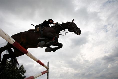 Horse Jumping Tips Beginners Can Put Into Practice Today