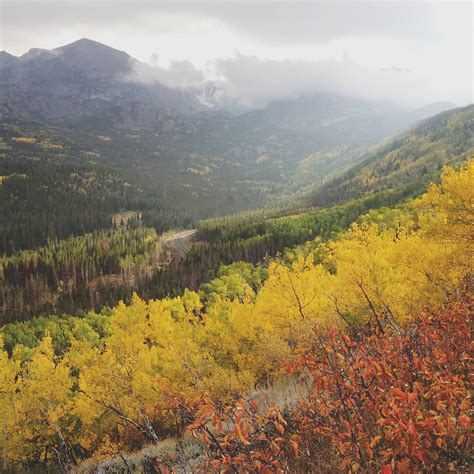 Fall Color in the Rocky Mountains by Kevin Russ - Stocksy United