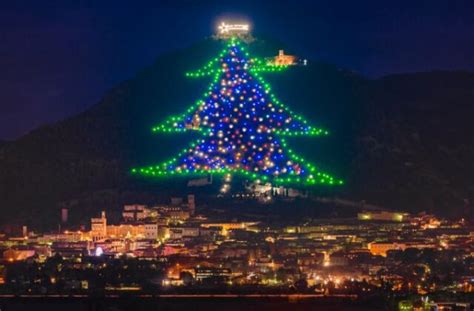 The World’s biggest Christmas Tree lights up in Italy | This is Italy