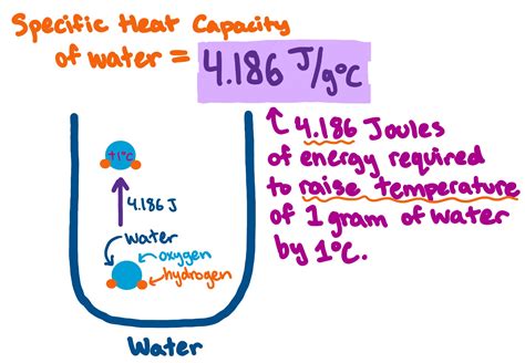 Heat Capacity of Water — Overview & Importance - Expii