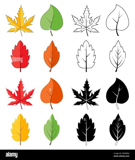 Leaves silhouette, outline and color icon set isolated on white ...