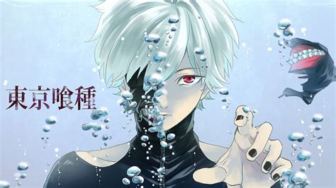 Tokyo Ghoul Ken Kaneki illustration, Tokyo Ghoul, Kaneki Ken, anime HD ...