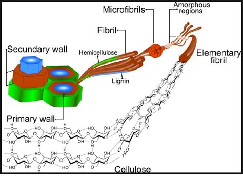 Figure 2 from AFM study of Micro Fibrllated Cellulose, (MFC) in ...