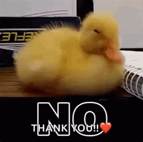 Nope Duck GIF - Nope Duck NoWay - Discover & Share GIFs