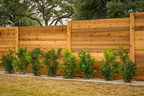 40 DIY Backyard Privacy Fence Design Ideas on A Budget