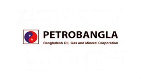 Petrobangla eyes 100 more gas wells | The Daily Star