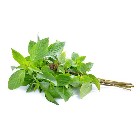 Farzana | Buy Basil Leaves ????? Online at the best price