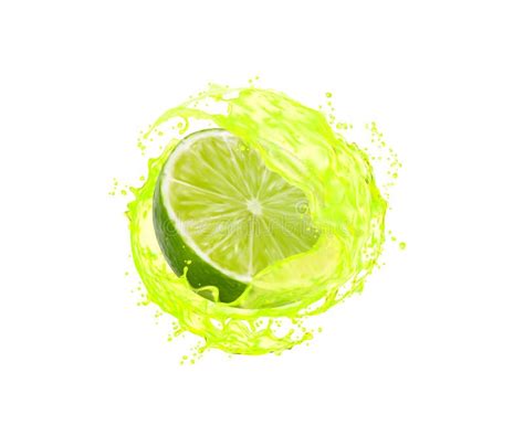 Lime Fruit Slice, Leaves and Green Juice Splash Stock Vector ...