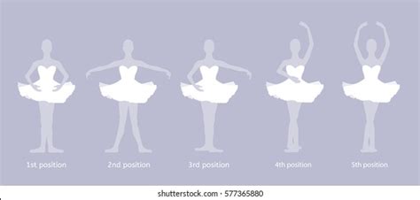 Ballet Dancers The Five Basic Ballet Positions Arms And Feet Poster ...