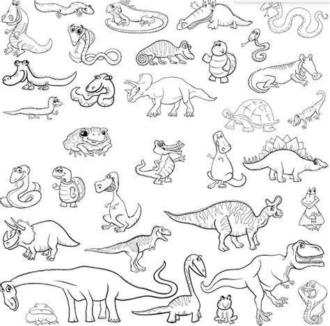 33 Coloring Pages of Reptiles and Amphibians for Children | Etsy Canada