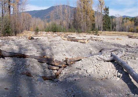 Floodplain Restoration | CSKT | Division of Fish, Wildlife, Recreation ...