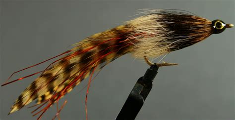 Brown Trout Streamer Pattern | SwittersB & Exploring