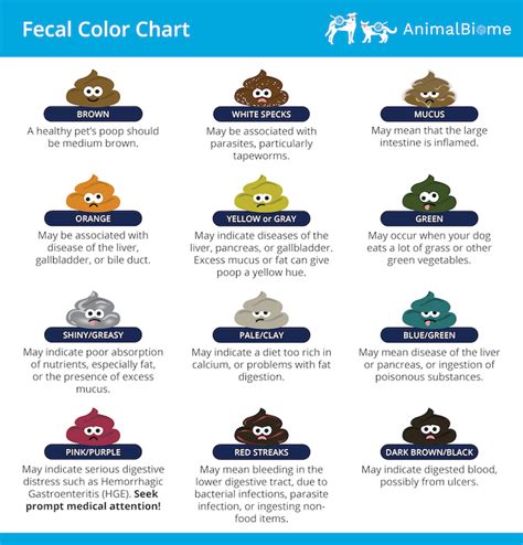 color of your poop chart stool color changes and chart what does it ...