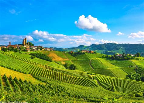 Self-Guided Leisure Cycling Holiday - Piemonte's Vineyards and Views - Italy Saddle Skedaddle