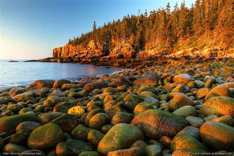 Acadia National Park Wallpapers - Top Free Acadia National Park ...