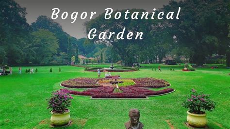 Bogor Botanical Garden Review 2022 - Guides for Travelers