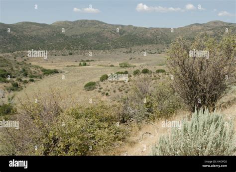 Mountain Meadows Massacre site, southern Utah Stock Photo - Alamy