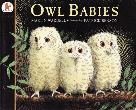 Owl Babies | Owl babies book, Baby owls, Owl books