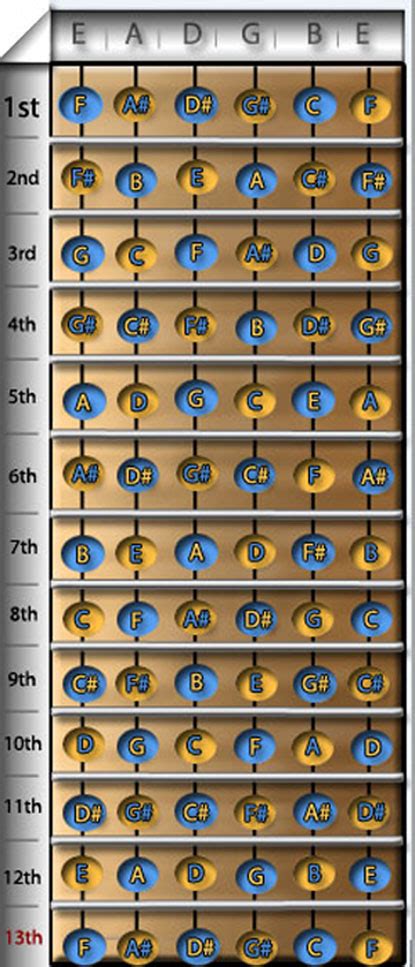 Guitar Notes Chart
