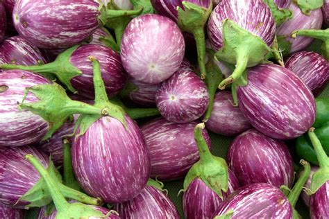 Picture of the Week: Striped Eggplants