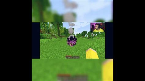 Minecraft dragon egg hatch - YouTube