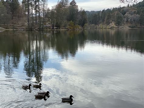 Lake Gregory Trail - California | AllTrails