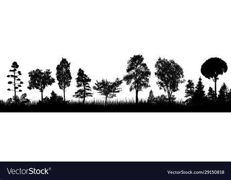 Trees silhouette on white background Royalty Free Vector