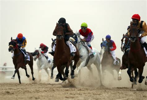 Al Dhafra Festival: The Greatest Showcase Of Bedouin Lifestyle