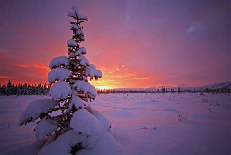 Alaska, USA Sunrise Sunset Times